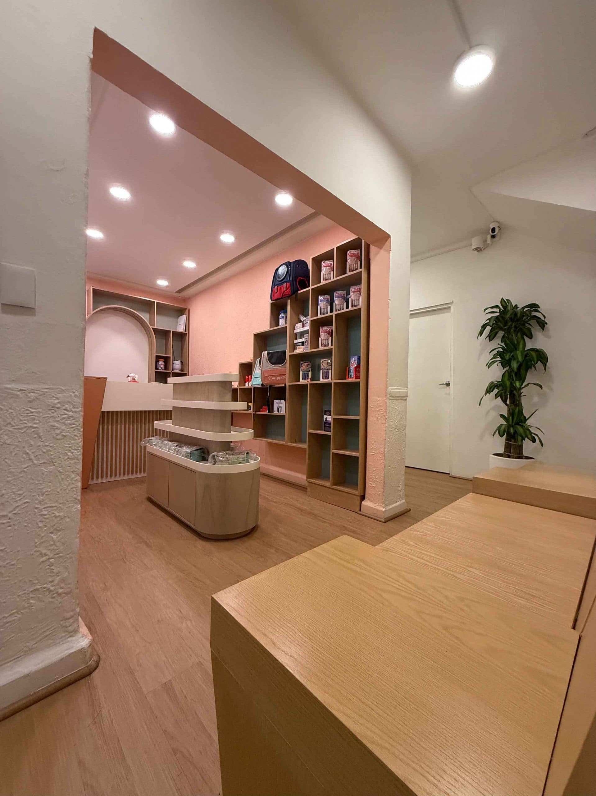 Suite privada de lujo en hotel para gatitos. Alternativa premium a pensión para gatos en CDMX.