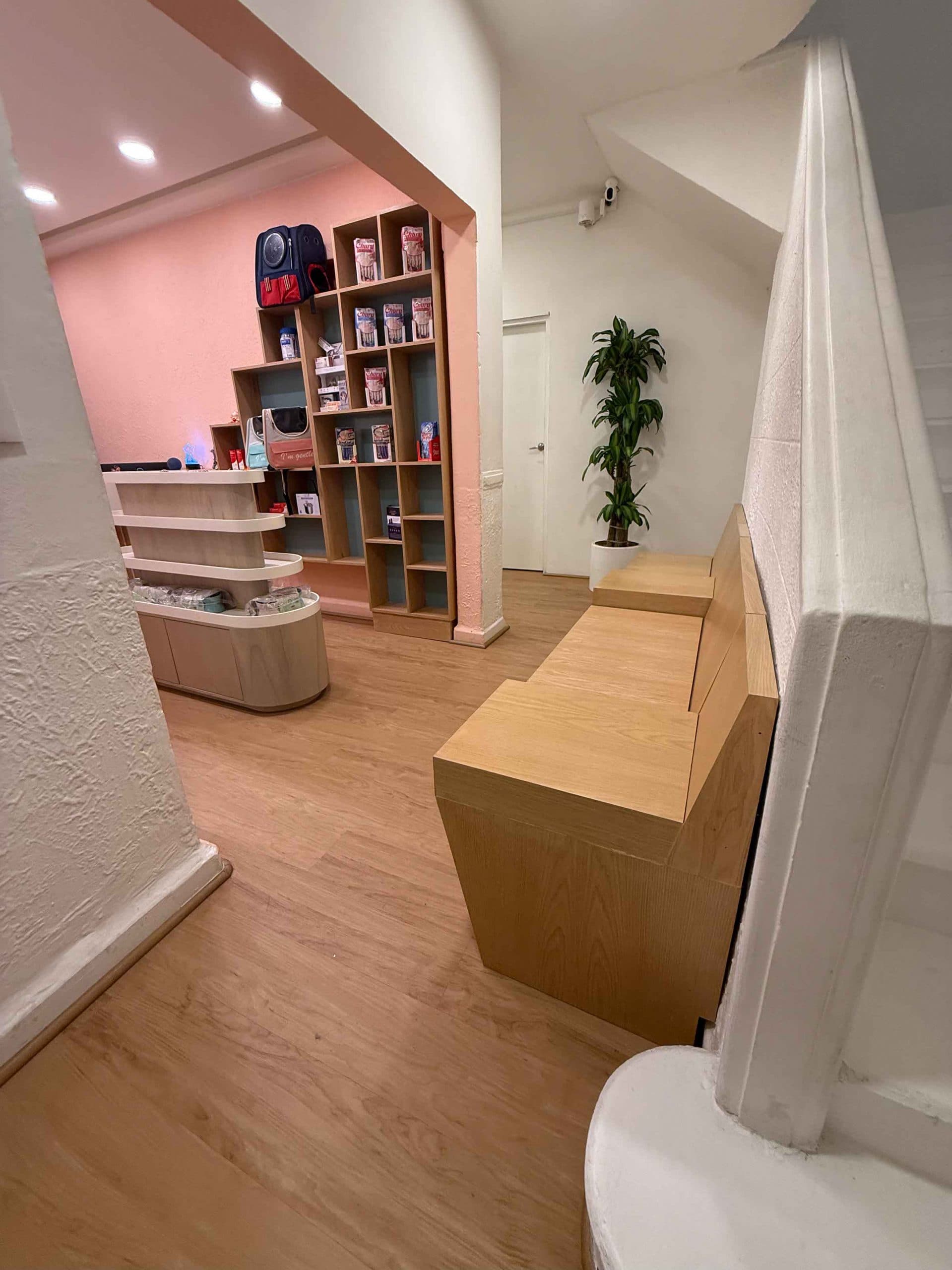 Área de juego y entretenimiento en pensión para gatos premium. Hotel de lujo en Polanco.