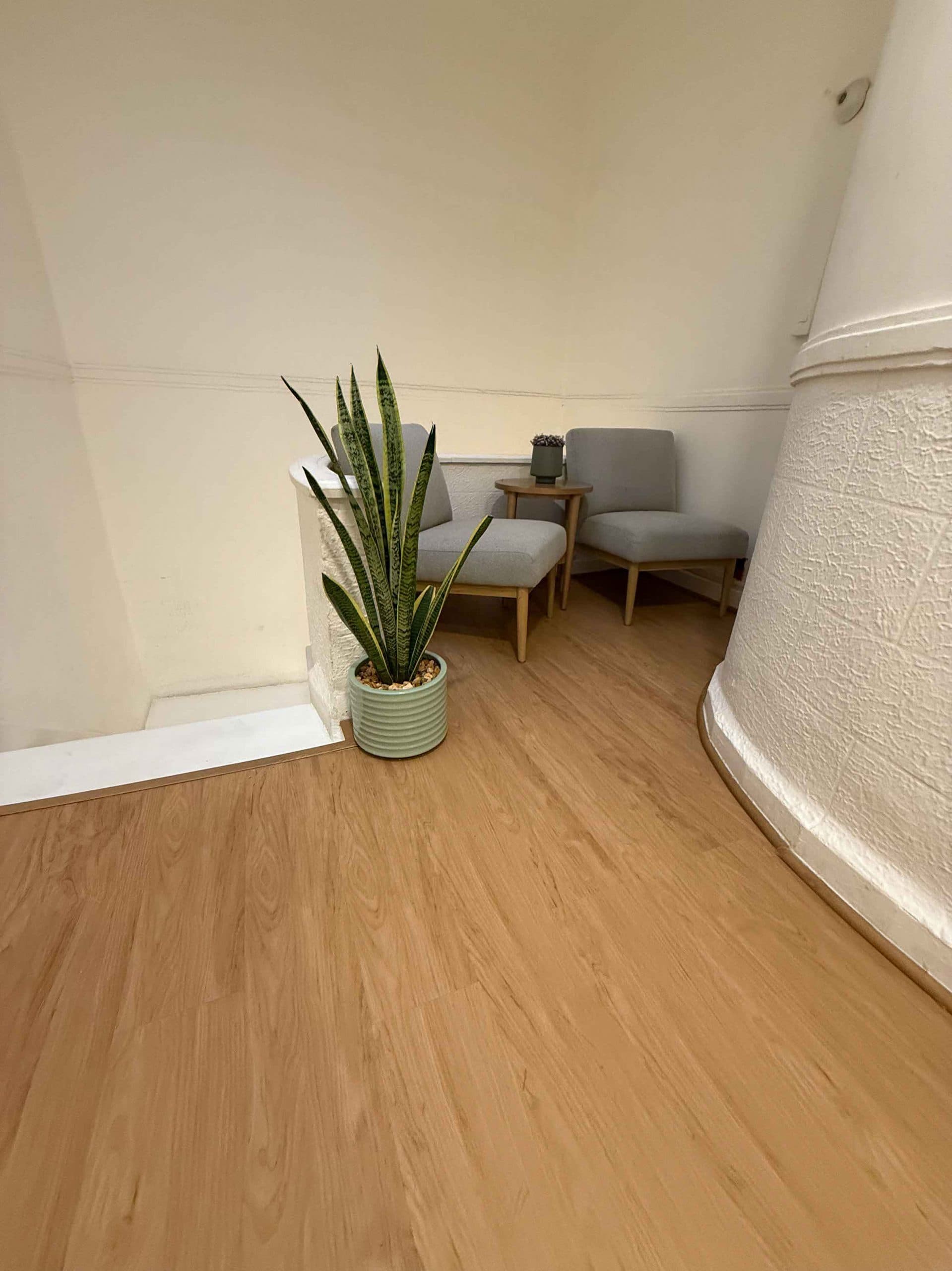 Espacios comunes diseñados para estancia felina de lujo. Hotel especializado en cuidado de gatos.