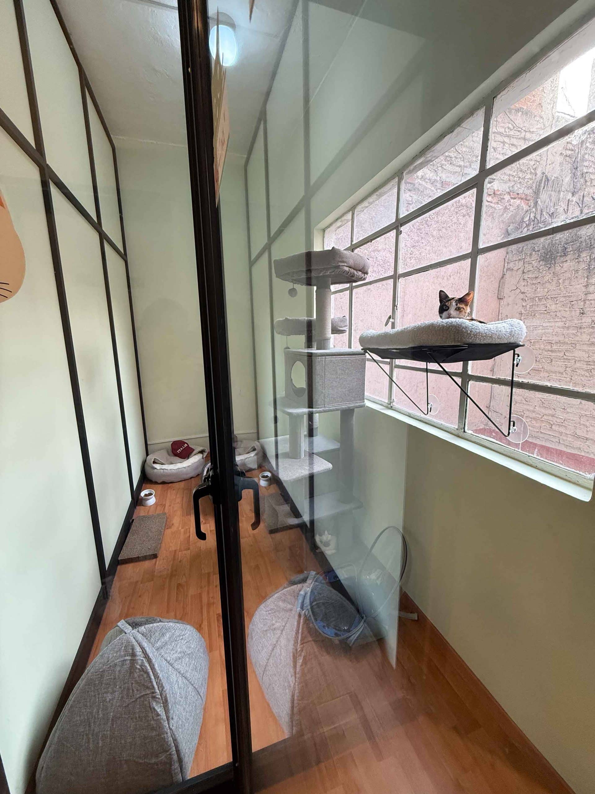 Suite privada con comodidades premium en guardería para gatos. Garabatos Inc, CDMX.